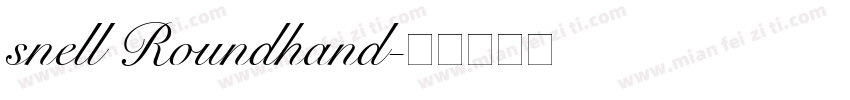 snell Roundhand字体转换